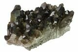 Dark Smoky Quartz Crystal Cluster - Brazil #138468-1